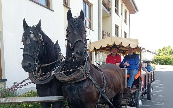 Kremserfahrt der Tagespflege