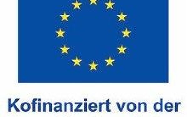 Soziale Kümmerin