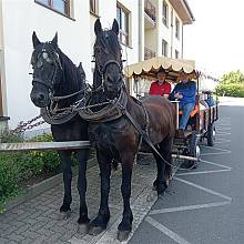Kremserfahrt der Tagespflege